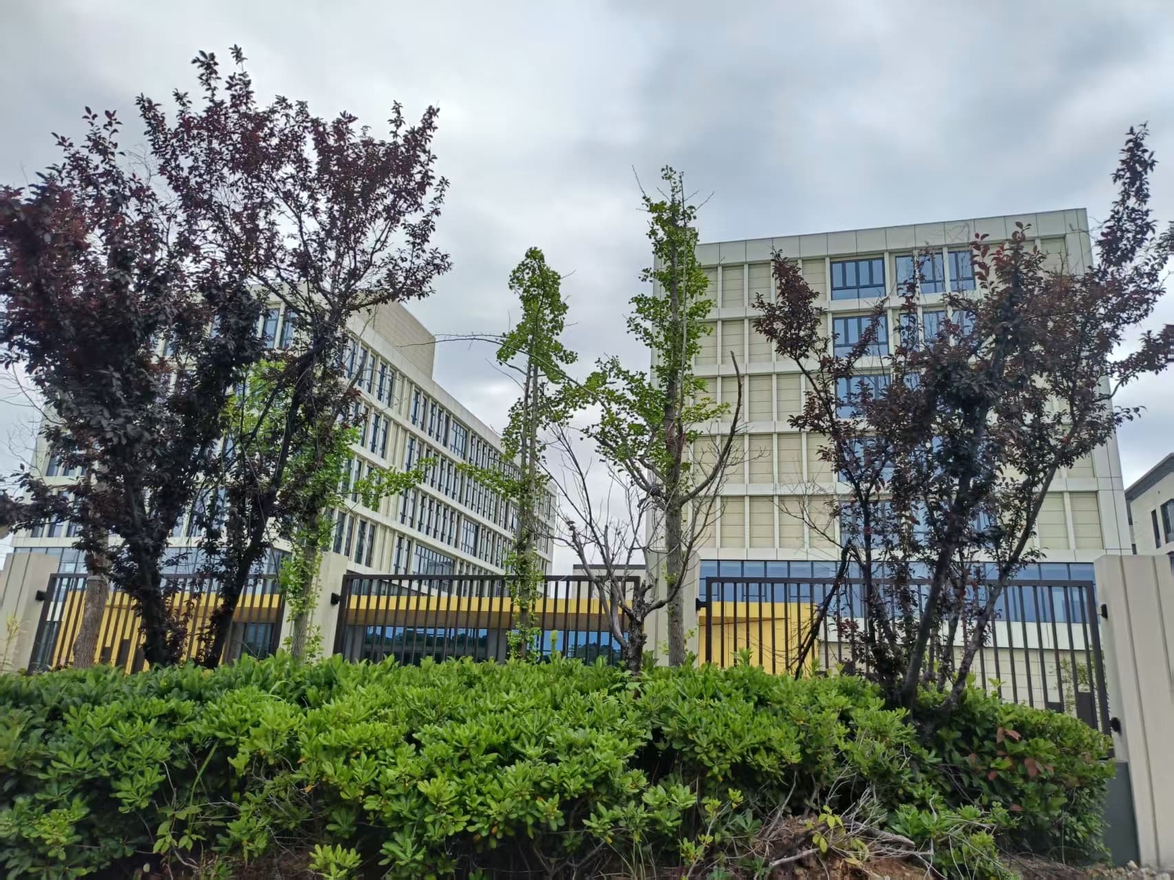 Factory Image